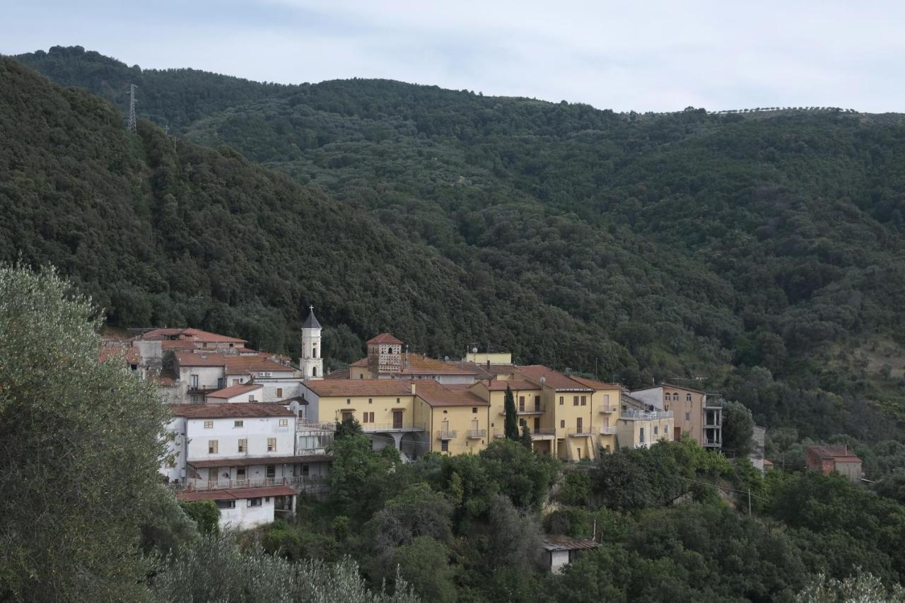 Corte Degli Ulivi Terradura Kültér fotó